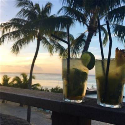 真人百家家乐网站截图